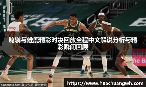 鹈鹕与雄鹿精彩对决回放全程中文解说分析与精彩瞬间回顾